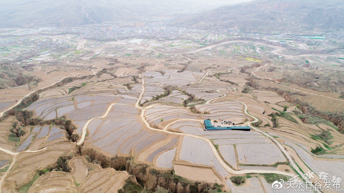 dy自助下单卡网